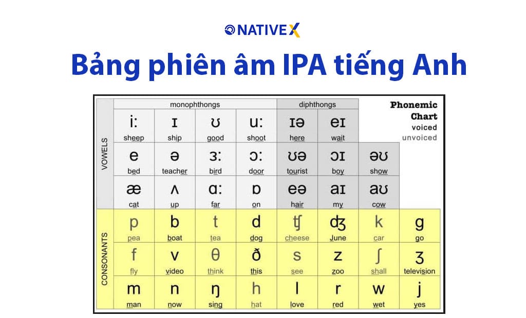 Bản gốc tiếng Anh là gì? Giải mã thuật ngữ và cách dùng chuẩn xác 3 bản gốc tiếng anh là gì - Hình 1