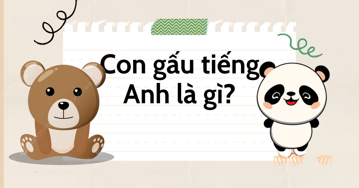 Gàu Tiếng Anh Là Gì? Tổng Hợp Từ Vựng Và Cách Dùng Chuẩn Nhất 3 gàu tiếng anh là gì - Hình 3