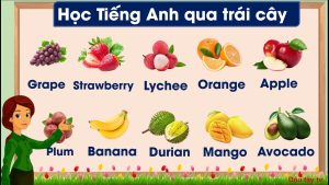 quả dâu trong tiếng anh là gì