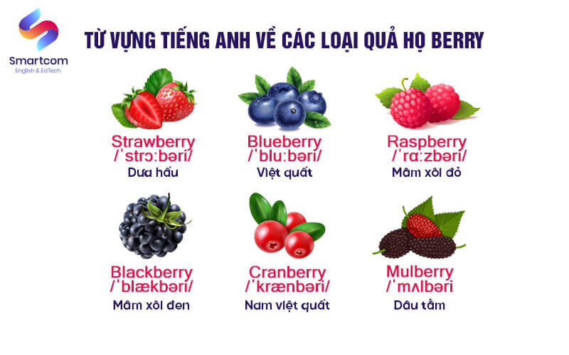 quả dâu trong tiếng anh là gì - Hình 4