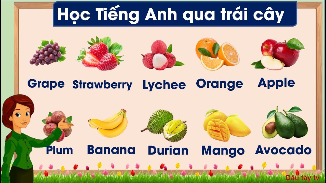 quả dâu trong tiếng anh là gì - Hình 1