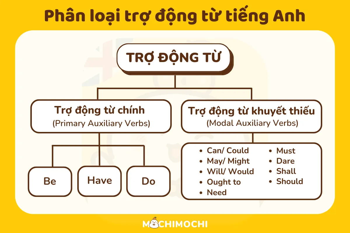 trợ động từ là gì trong tiếng anh - Hình 3