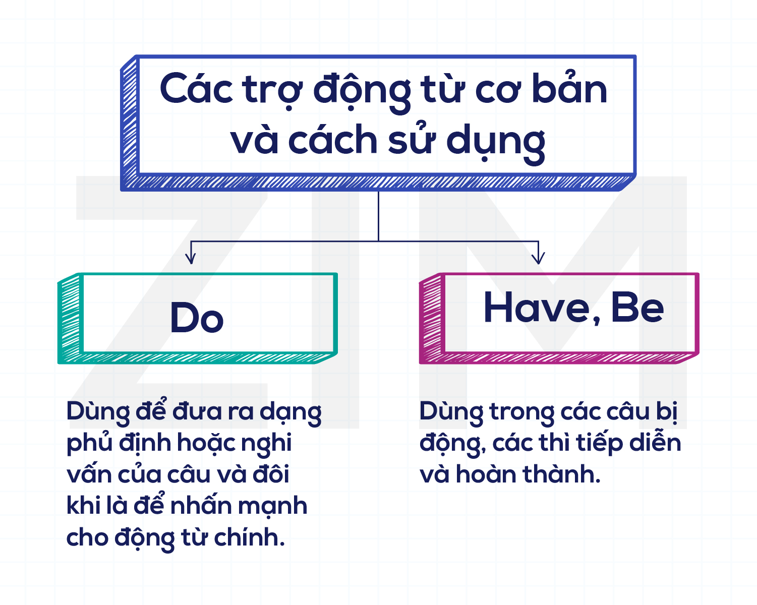 trợ động từ là gì trong tiếng anh - Hình 4
